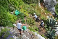 Gärtnern mit Sicherung