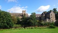 Jedburgh - Kathedral-Ruine