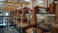 Glen Grant Distillery