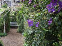 Im Garten von Arundel Castle