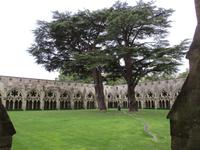 Im Kreuzgang der Kathedrale von Salisbury