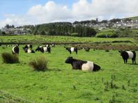 Blick auf Princetown