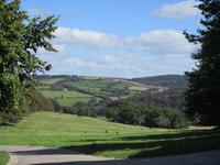 Lanhydrock Landschaft