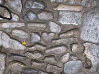 Das Herz des Riesen auf St. Michaels Mount