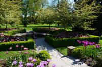 185 Bodnant Garden