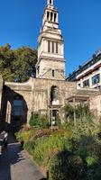 074a London, Christchurch Greyfriars Church Garden
