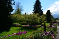 186 Bodnant Garden