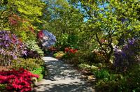 187 Bodnant Garden