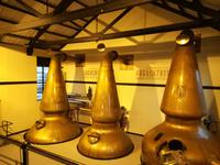 Besichtigung der Auchentoshan Distillery