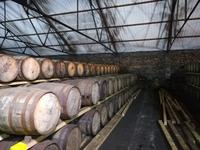 Besichtigung der Auchentoshan Distillery