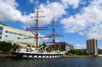 188 Cardiff, Hafen