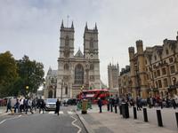 Stadtrundgang und Stadtrundfahrt in London (3)