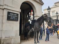 Stadtrundgang und Stadtrundfahrt in London (10)