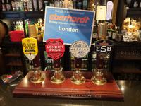 Stadtrundgang und Stadtrundfahrt in London (19)