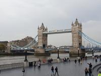 Stadtrundgang und Stadtrundfahrt in London (45)