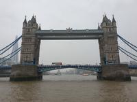 Bootsfahrt auf der Themse inklusive Mittagessen in London (12)