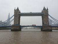 Bootsfahrt auf der Themse inklusive Mittagessen in London (14)