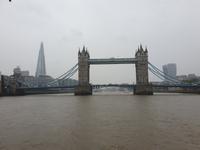 Bootsfahrt auf der Themse inklusive Mittagessen in London (15)