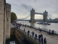 Tower Bridge in London (5)