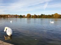 Stammkundenreise 2019 London mit Benjamin (11)