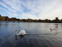 Stammkundenreise 2019 London mit Benjamin (13)