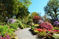 190 Bodnant Garden