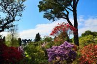 191 Bodnant Garden