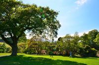 194 Bodnant Garden