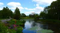 196 Nationaler Botanischer Garden Wales