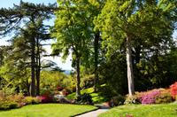 198 Bodnant Garden