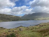 4. Tag – Bootsfahrt auf dem Killary Harbour