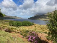 4. Tag – Bootsfahrt auf dem Killary Harbour