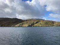 4. Tag – Bootsfahrt auf dem Killary Harbour