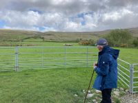 4. Tag – Glen Keen Sheep Farm