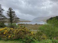 7. Tag – Stopp im Glenveagh-Nationalpark