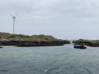 7. Tag – Ausflug zur Insel Arranmore