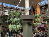 8. Tag – Stadtbesichtigung in Dublin – Powerscourt Townhouse