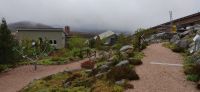 092 Botanischer Garten an der Talstation der Cairngorm Mountain Railway