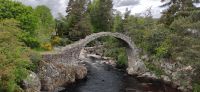 124 Carrbridge, Packpferdebrücke von 1717