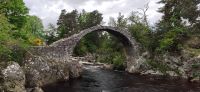 126 Carrbridge, Packpferdebrücke von 1717