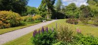 219 Inveraray Castle & Garden