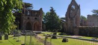 242 Dryburgh Abbey , Borders