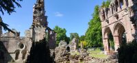 245 Dryburgh Abbey , Borders