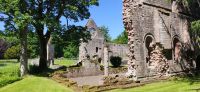 248 Dryburgh Abbey , Borders
