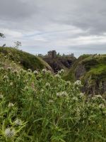Dunnotar Castle