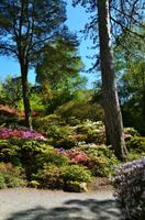 200 Bodnant Garden