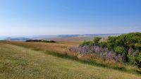 20220708 153339  Wanderung von Beachy Head nach Birling Gap