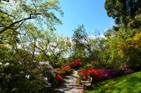 201 Bodnant Garden