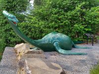 sieht so Nessie aus? 