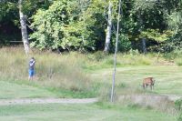 Man kommt relativ nah heran